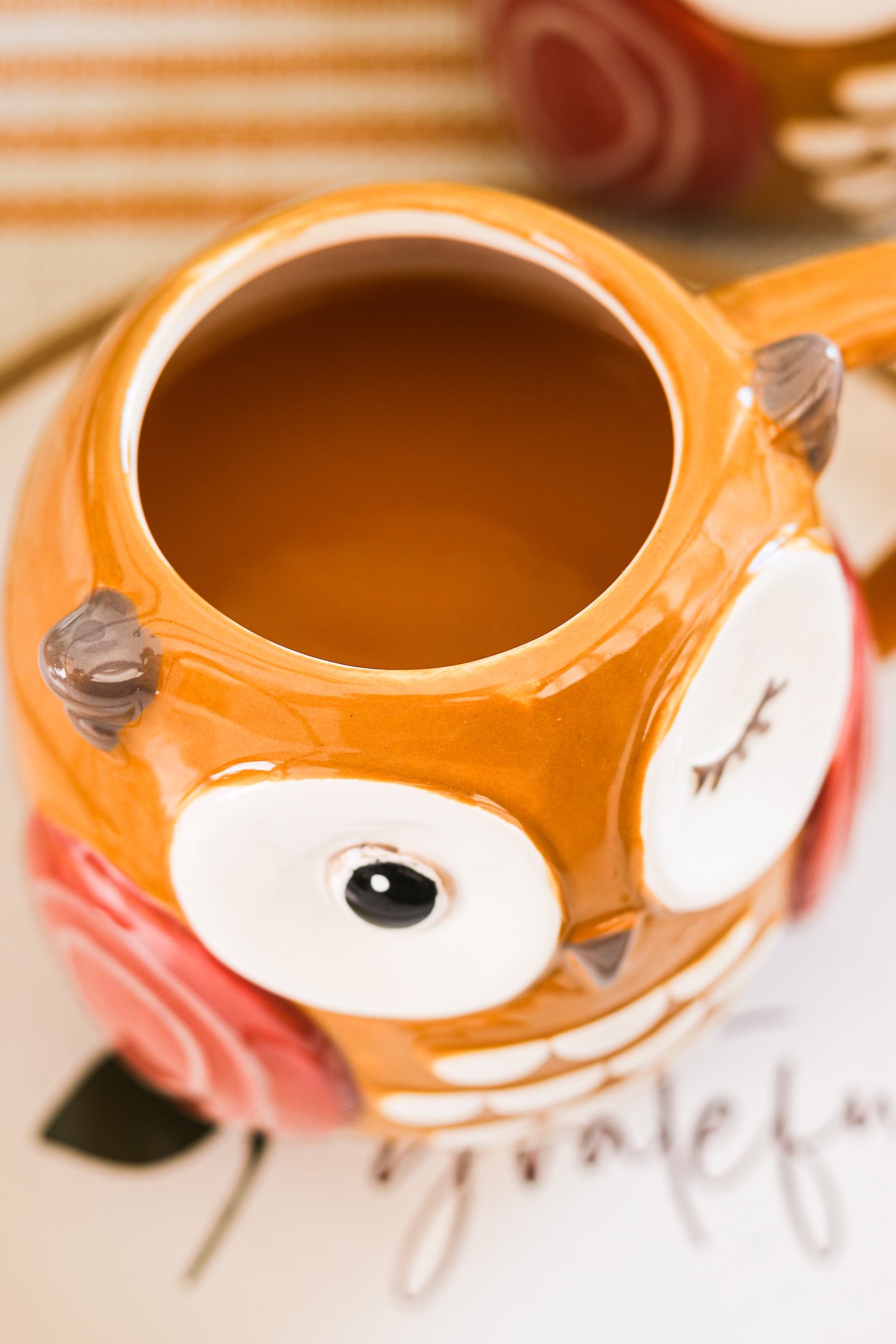 A close up perspective image of an owl mug filled with chai apple cider.