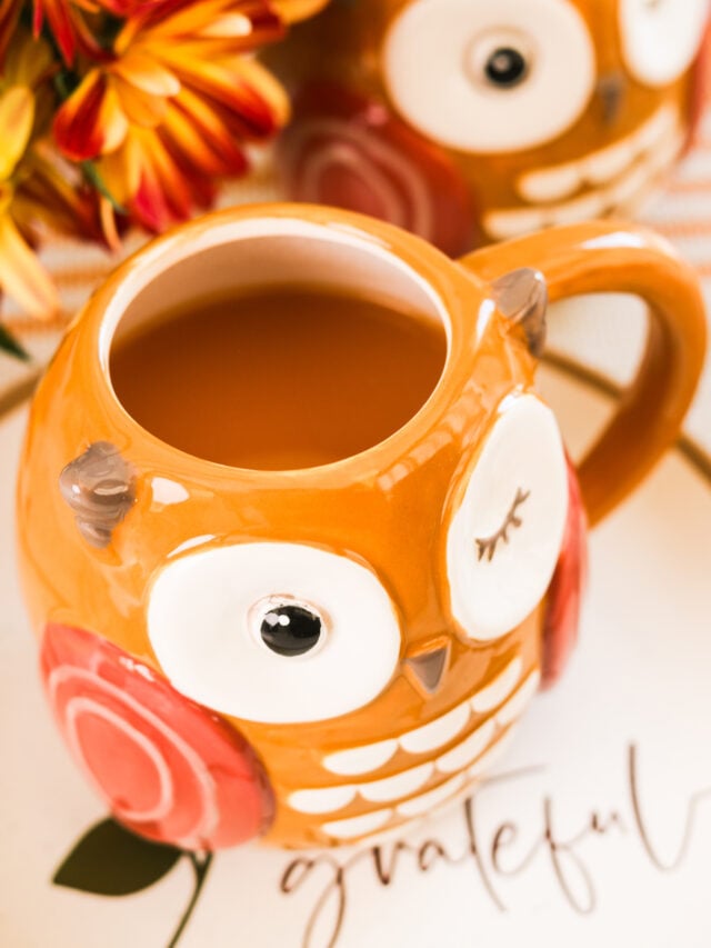 Stovetop Hot Chai-Spiced Apple Cider